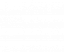 Scansonic